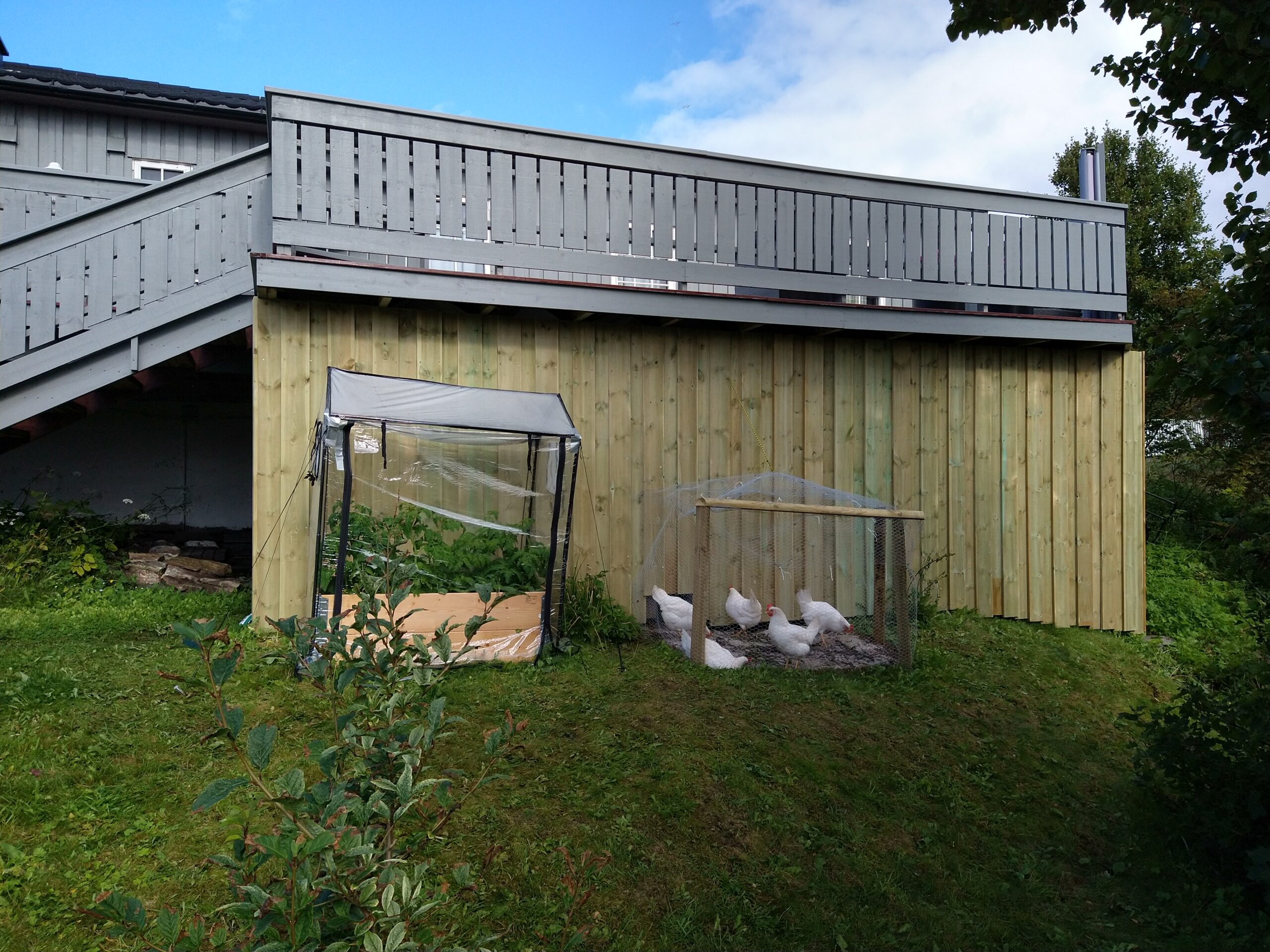 IMG_20200820_123910431_HDR