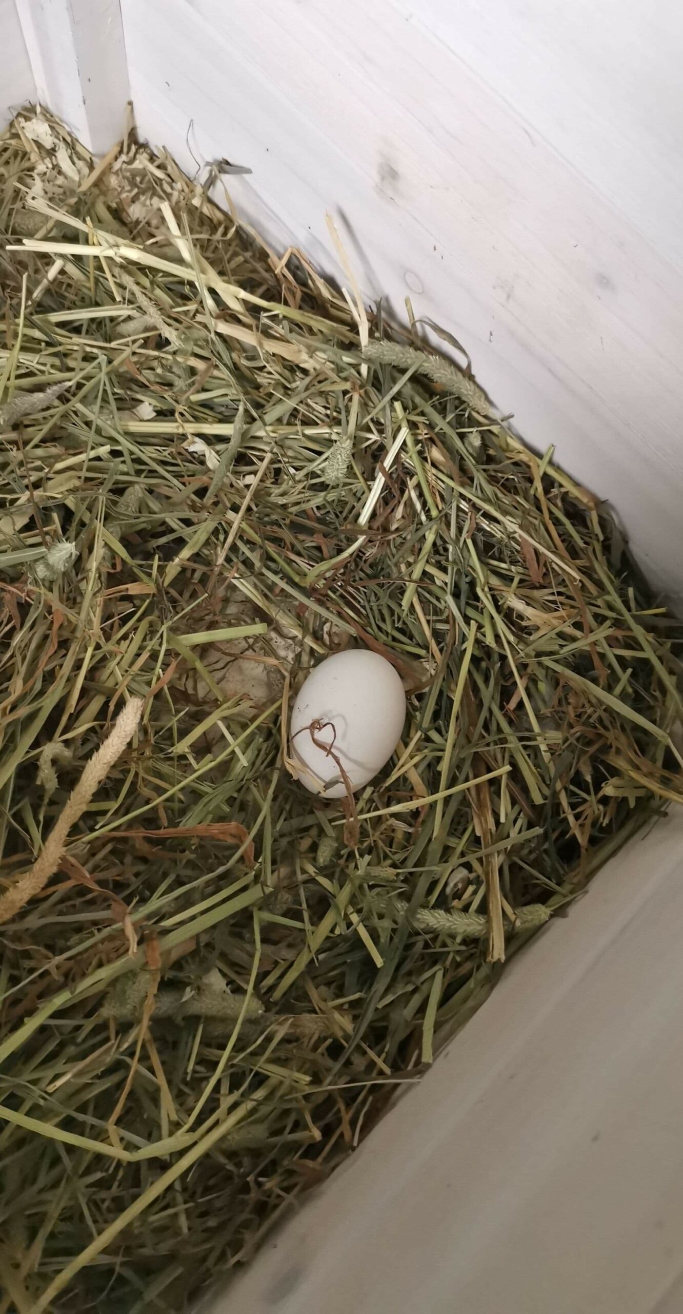 received_2475456729412042