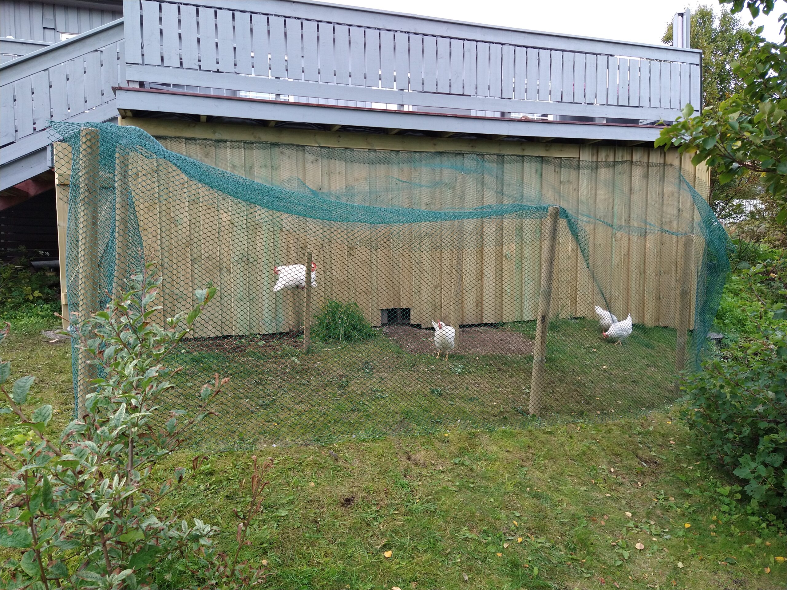 IMG_20200902_172516440