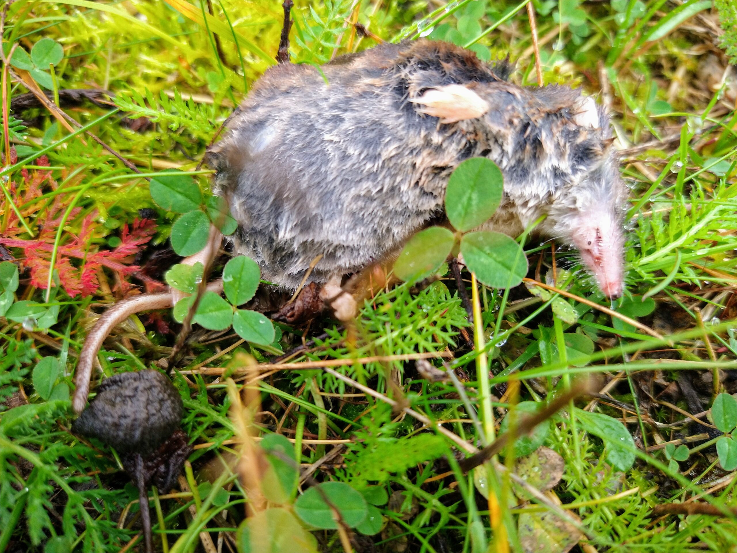 IMG_20200907_0928393762