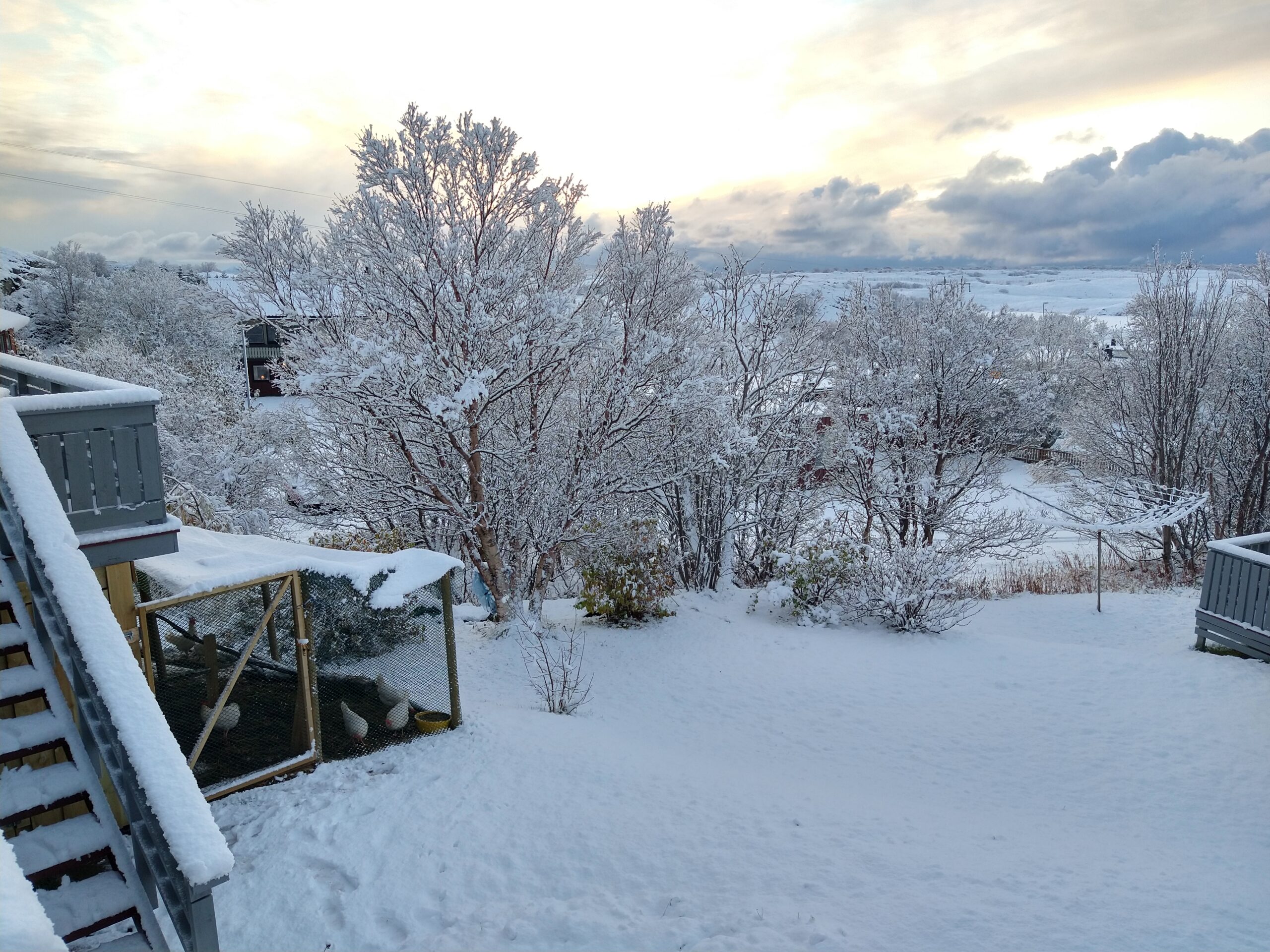 IMG_20201023_091601802_HDR