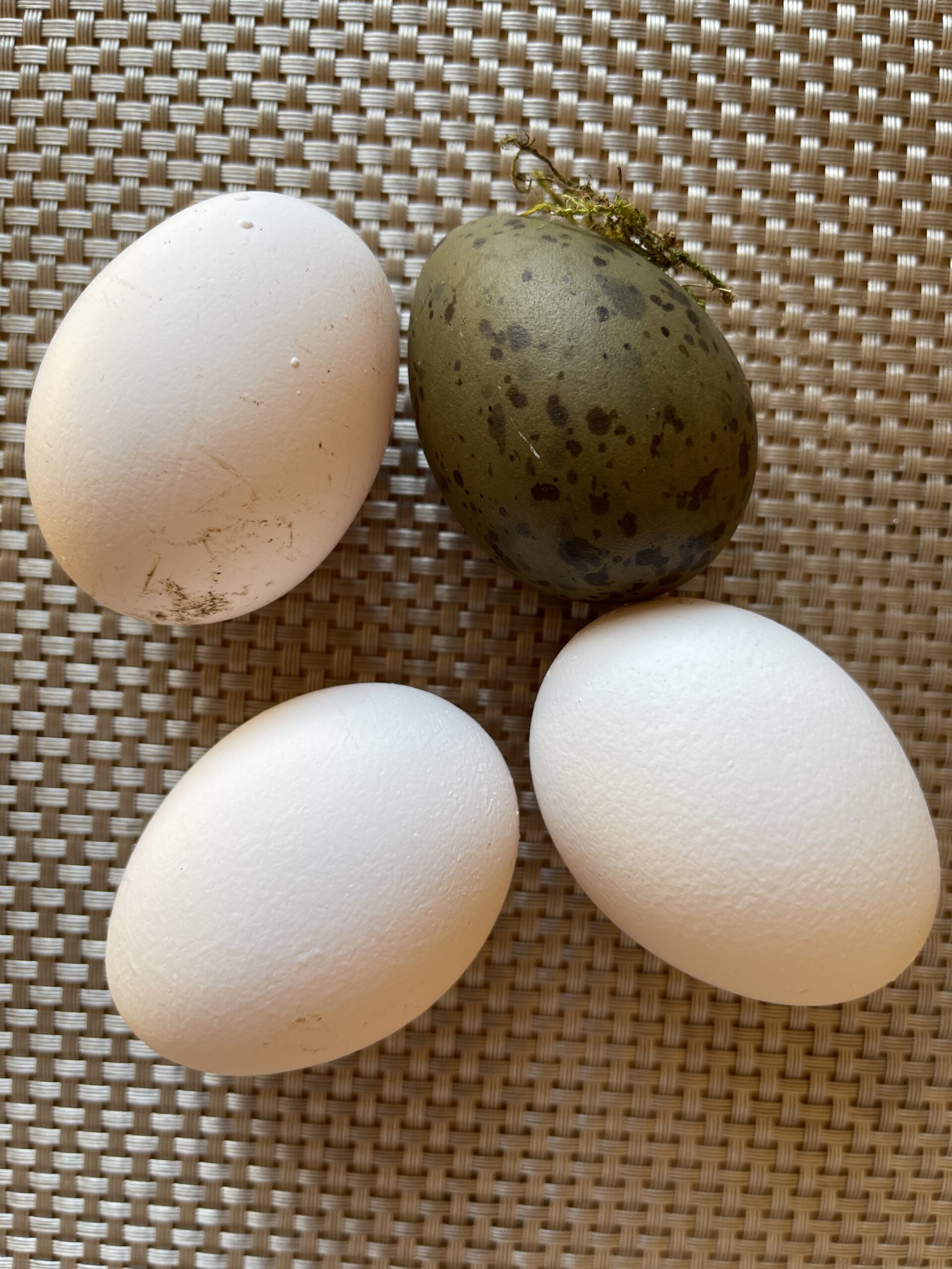 EE4636EE-169A-48C0-8837-4F60FC860DB1