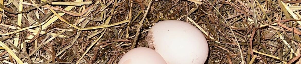 IMG_20221011_1540382