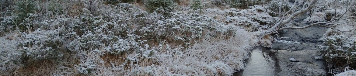 IMG_20221120_111107199