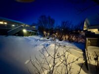 Hagen i førjulsskrud