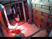 Den nye gjengen på plass…